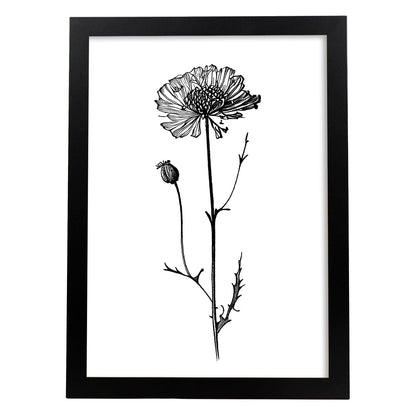 Lámina Nacnic Scabiosa Arte Minimalista Línea_1