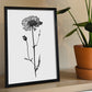 Lámina Nacnic Scabiosa Arte Minimalista Línea_1