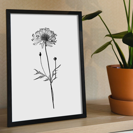 Nacnic Laminas de Arte Minimalista Scabiosa_3