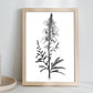 Lámina Minimalista Nacnic de Antirrhinum