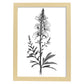 Lámina Minimalista Nacnic de Antirrhinum