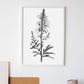 Lámina Minimalista Nacnic de Antirrhinum