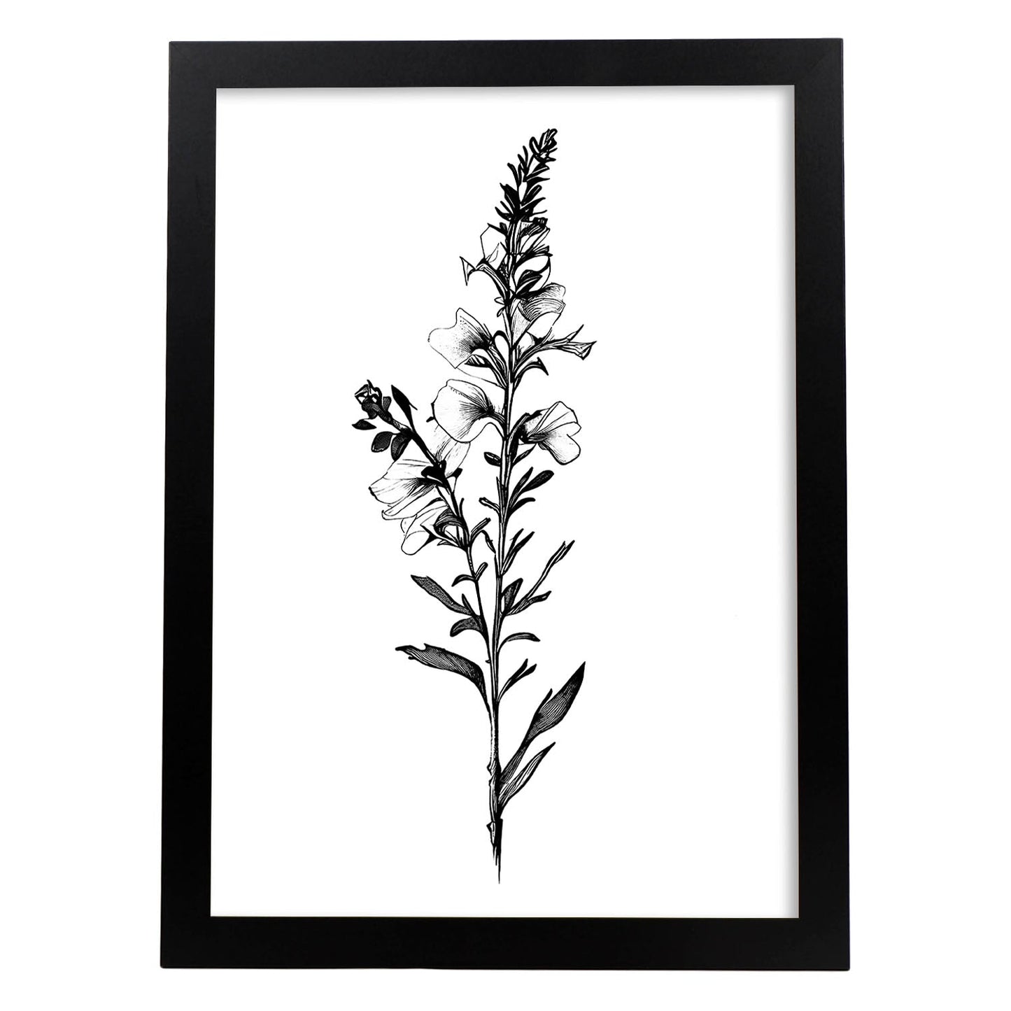 Nacnic Snapdragon Minimalist Line Art_2. Aesthetic Wall Art Prints for Bedroom or Living Room Design.