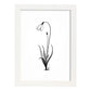 Lámina Nacnic Arte Minimalista Línea Snowdrop_2
