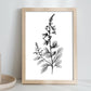 Nacnic Laminas de Arte Minimalista Speedwell