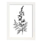 Nacnic Laminas de Arte Minimalista Speedwell