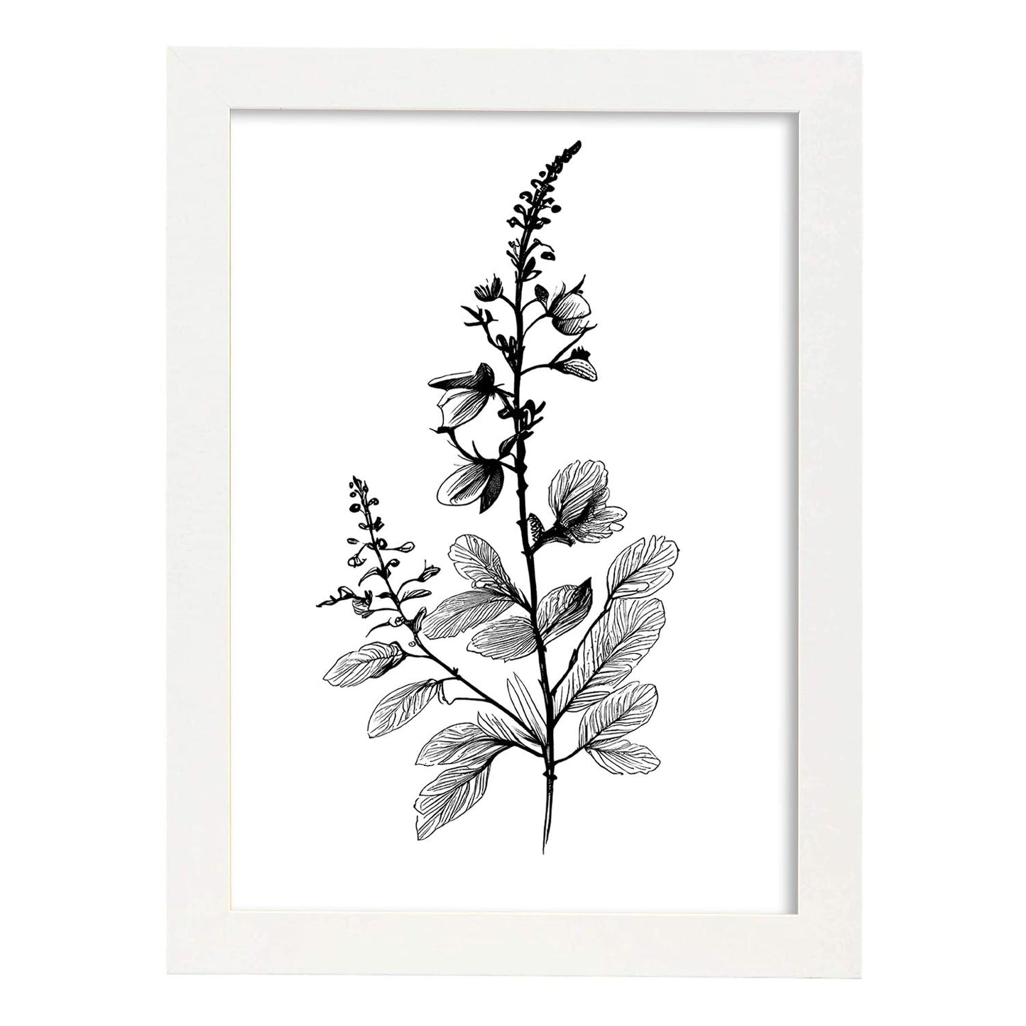 Nacnic Speedwell Minimalist Line Art_1. Aesthetic Wall Art Prints for Bedroom or Living Room Design.