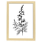 Nacnic Laminas de Arte Minimalista Speedwell