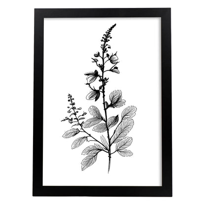Nacnic Laminas de Arte Minimalista Speedwell