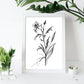 Láminas Minimalistas de Nacnic Spiderwort en Arte Lineal