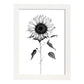 Lámina Nacnic de Girasol en Arte Lineal Minimalista