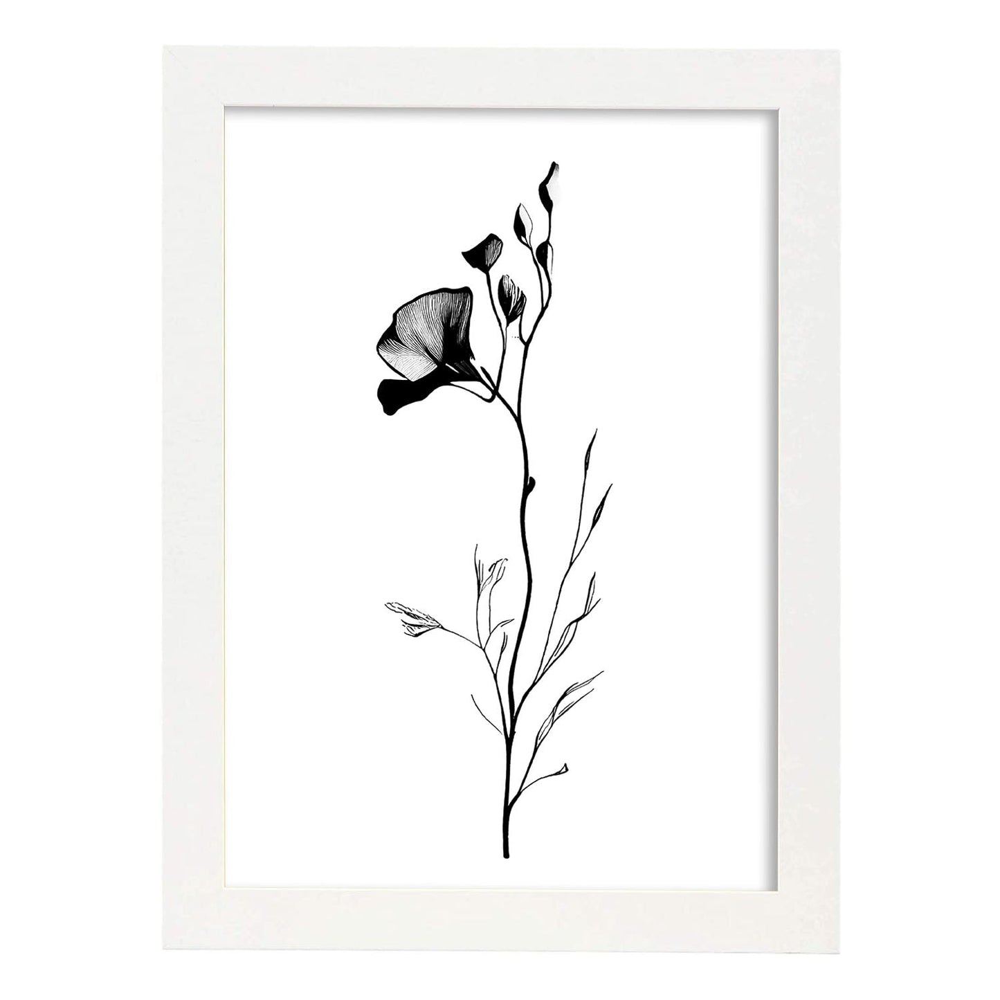 Nacnic Láminas de Arte Minimalista Sweet Pea