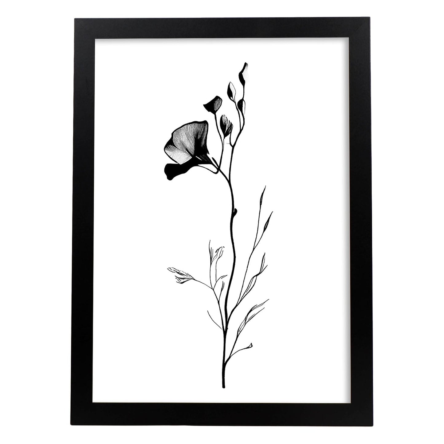 Nacnic Láminas de Arte Minimalista Sweet Pea