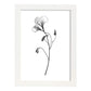 Laminas Nacnic Sweet Pea Arte Minimalista Lineal