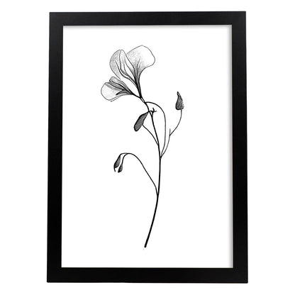 Laminas Nacnic Sweet Pea Arte Minimalista Lineal