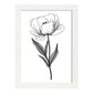 Lámina Minimalista de Tulipas Nacnic