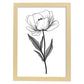 Lámina Minimalista de Tulipas Nacnic
