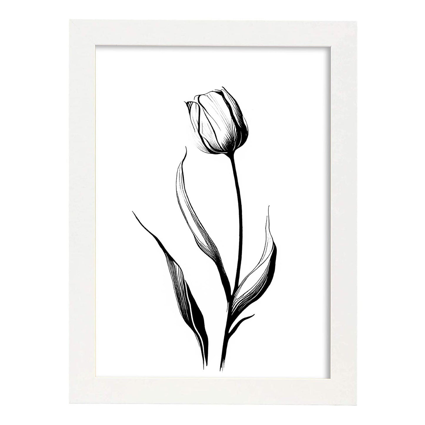 Nacnic Tulipa Minimalist Line Art_4. Aesthetic Wall Art Prints for Bedroom or Living Room Design.