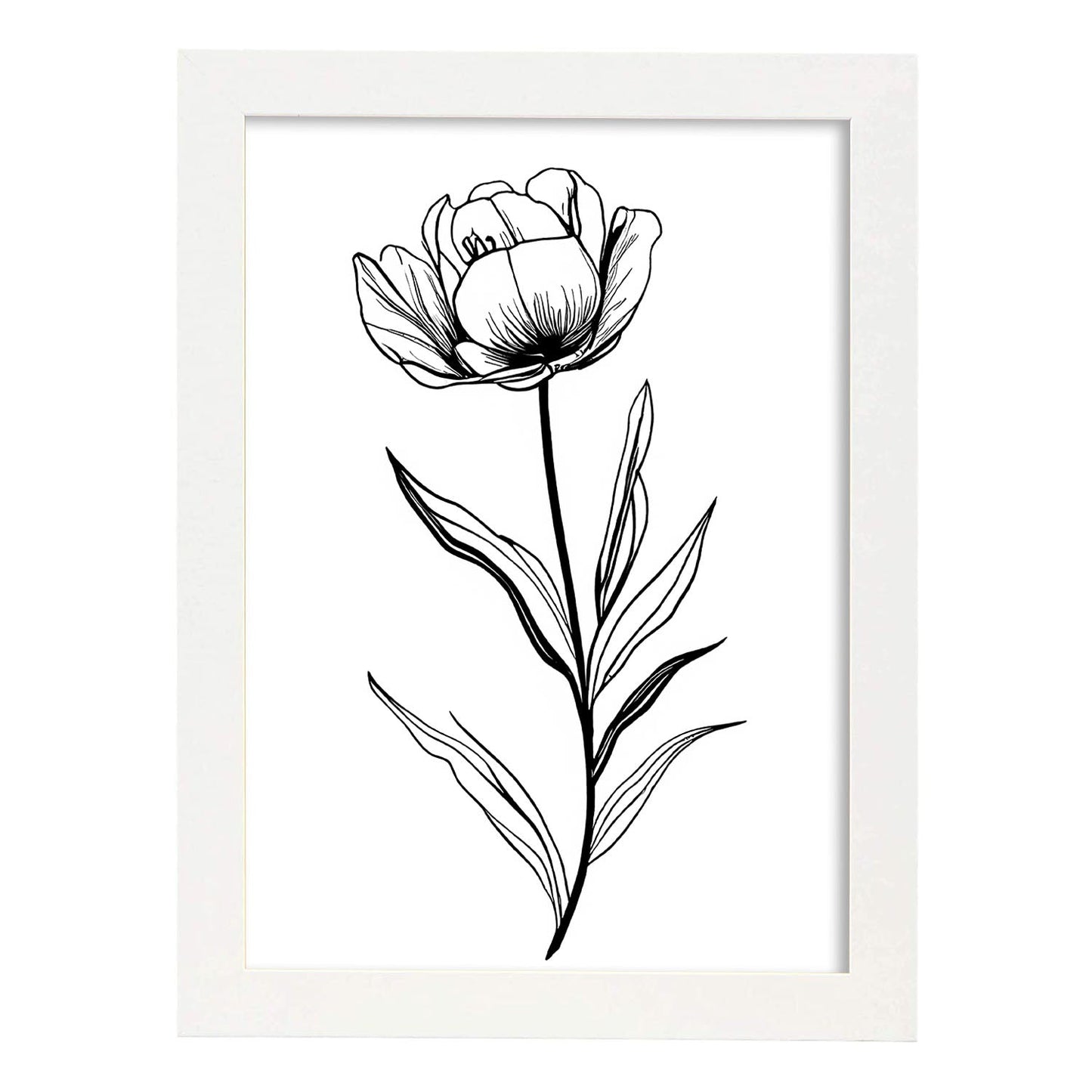 Nacnic Tulipa Minimalist Line Art_5. Aesthetic Wall Art Prints for Bedroom or Living Room Design.