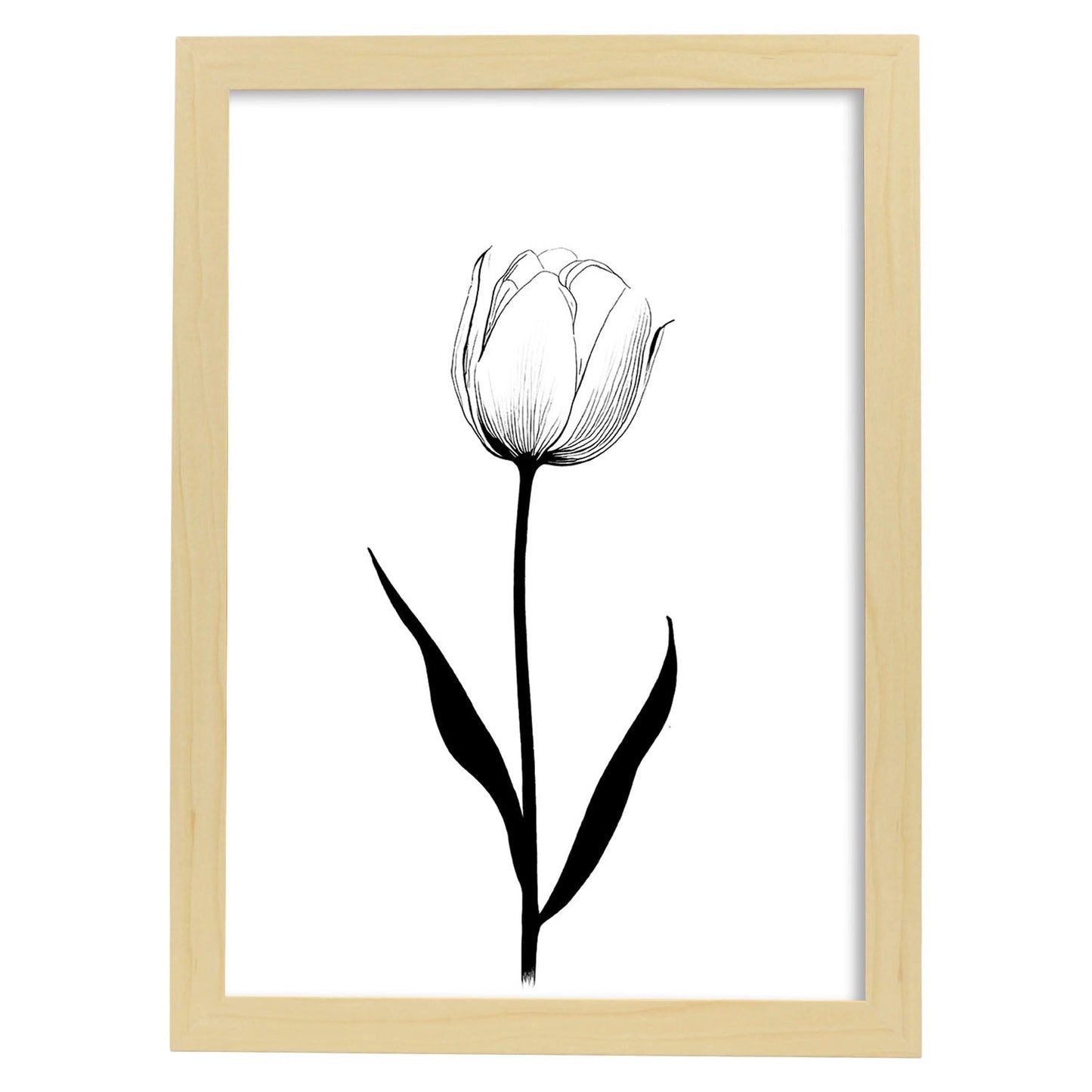 Lámina Nacnic Tulipa Arte Minimalista Lineal