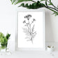 Nacnic Verbena Arte Minimalista Línea_1 Láminas