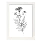 Nacnic Verbena Arte Minimalista Línea_1 Láminas