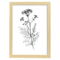 Nacnic Verbena Arte Minimalista Línea_1 Láminas