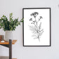 Nacnic Verbena Arte Minimalista Línea_1 Láminas