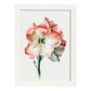 Láminas Nacnic de Amaryllis en acuarela minimalista