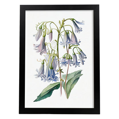 Lámina Nacnic Acuarela Campanilla Azul Minimalista