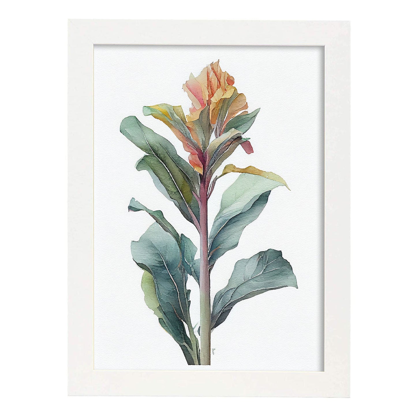 Nacnic watercolor minmal Canna_2. Aesthetic Wall Art Prints for Bedroom or Living Room Design.