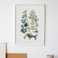Nacnic watercolor minmal Canterbury Bells_2. Aesthetic Wall Art Prints for Bedroom or Living Room Design.-Artwork-Nacnic-A4-Sin Marco-Nacnic Estudio SL