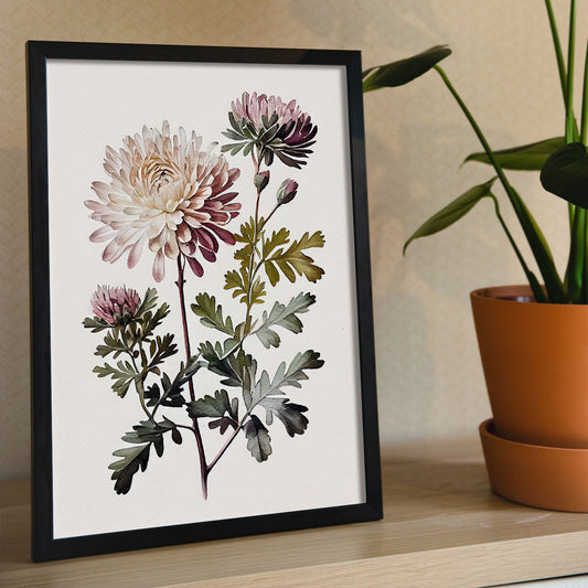 Nacnic watercolor minmal Chrysanthemum_1. Aesthetic Wall Art Prints for Bedroom or Living Room Design.-Artwork-Nacnic-A4-Sin Marco-Nacnic Estudio SL