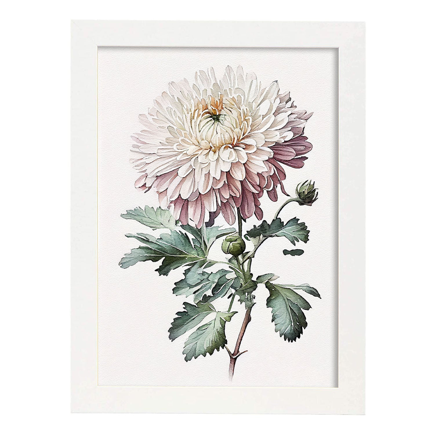 Nacnic watercolor minmal Chrysanthemum_2. Aesthetic Wall Art Prints for Bedroom or Living Room Design.-Artwork-Nacnic-A4-Marco Blanco-Nacnic Estudio SL