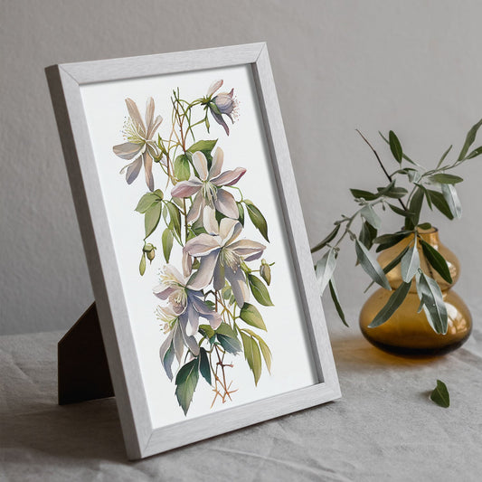 Nacnic watercolor minmal Clematis_3. Aesthetic Wall Art Prints for Bedroom or Living Room Design.-Artwork-Nacnic-A4-Sin Marco-Nacnic Estudio SL