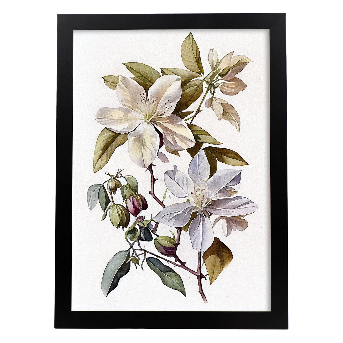 Nacnic watercolor minmal Clematis_4. Aesthetic Wall Art Prints for Bedroom or Living Room Design.
