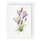 Nacnic watercolor minmal Crocus. Aesthetic Wall Art Prints for Bedroom or Living Room Design.-Artwork-Nacnic-A4-Marco Blanco-Nacnic Estudio SL