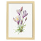 Nacnic watercolor minmal Crocus. Aesthetic Wall Art Prints for Bedroom or Living Room Design.-Artwork-Nacnic-A4-Marco Madera Clara-Nacnic Estudio SL