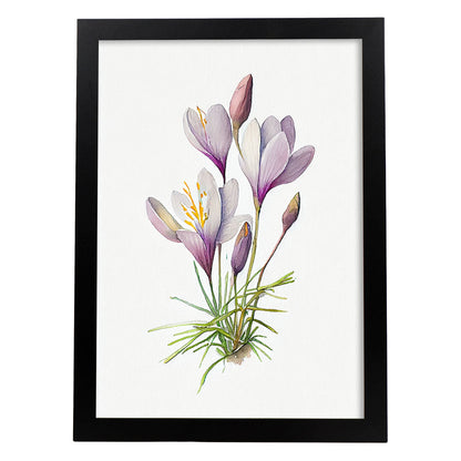 Nacnic Lámina Minimalista de Acuarela Crocus
