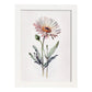 Nacnic watercolor minmal Daisy. Aesthetic Wall Art Prints for Bedroom or Living Room Design.-Artwork-Nacnic-A4-Marco Blanco-Nacnic Estudio SL