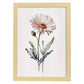 Nacnic watercolor minmal Daisy. Aesthetic Wall Art Prints for Bedroom or Living Room Design.-Artwork-Nacnic-A4-Marco Madera Clara-Nacnic Estudio SL