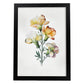 Lámina Nacnic Acuarela Minimalista de Freesia_4