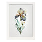 Nacnic watercolor minmal Iris. Aesthetic Wall Art Prints for Bedroom or Living Room Design.-Artwork-Nacnic-A4-Marco Blanco-Nacnic Estudio SL