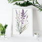 Láminas de Acuarela Minimalista Lavanda_2 de Nacnic