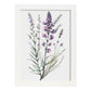Nacnic watercolor minmal Lavender_2. Aesthetic Wall Art Prints for Bedroom or Living Room Design.-Artwork-Nacnic-A4-Marco Blanco-Nacnic Estudio SL