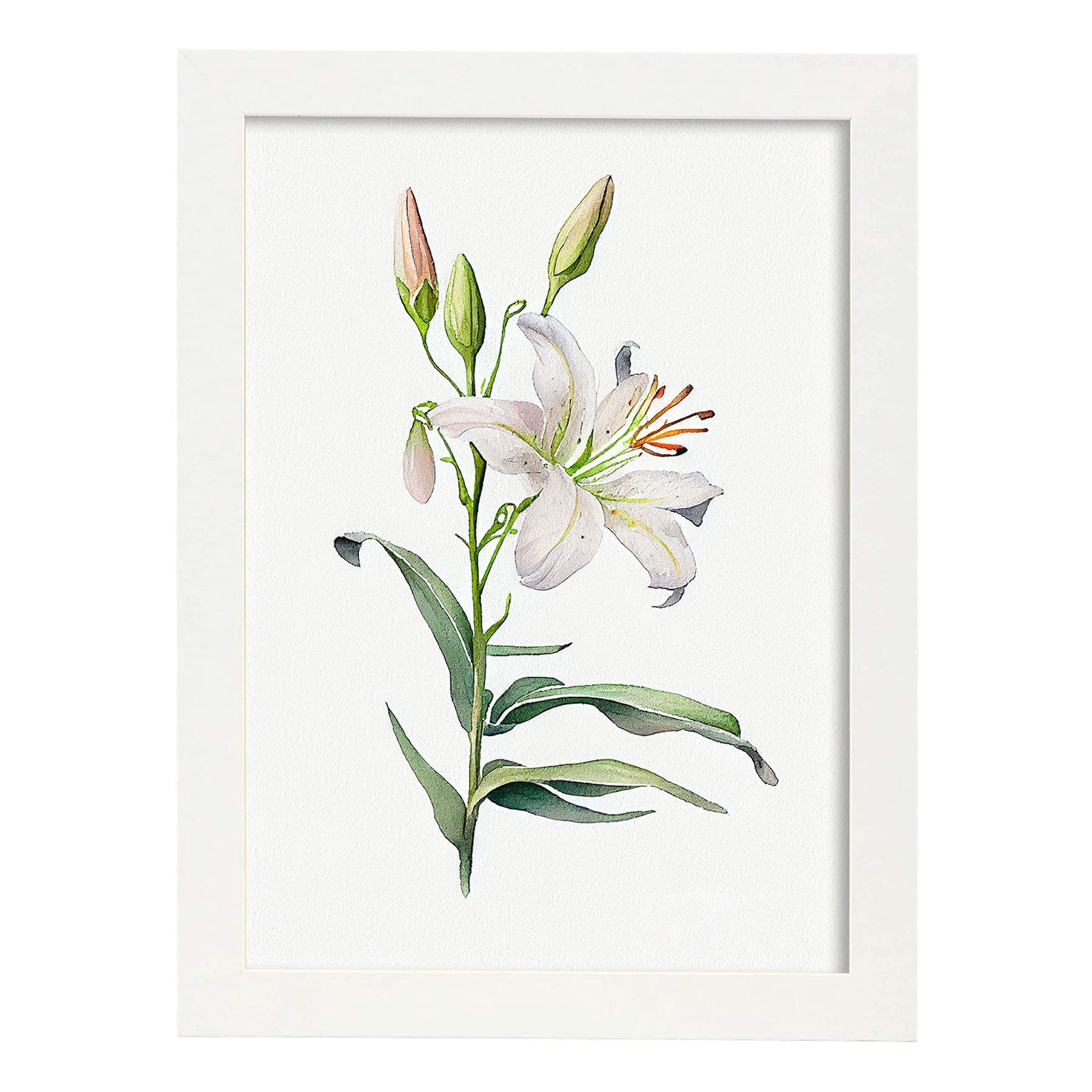 Nacnic watercolor minmal Lily. Aesthetic Wall Art Prints for Bedroom or Living Room Design.-Artwork-Nacnic-A4-Marco Blanco-Nacnic Estudio SL
