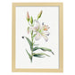 Nacnic watercolor minmal Lily. Aesthetic Wall Art Prints for Bedroom or Living Room Design.-Artwork-Nacnic-A4-Marco Madera Clara-Nacnic Estudio SL