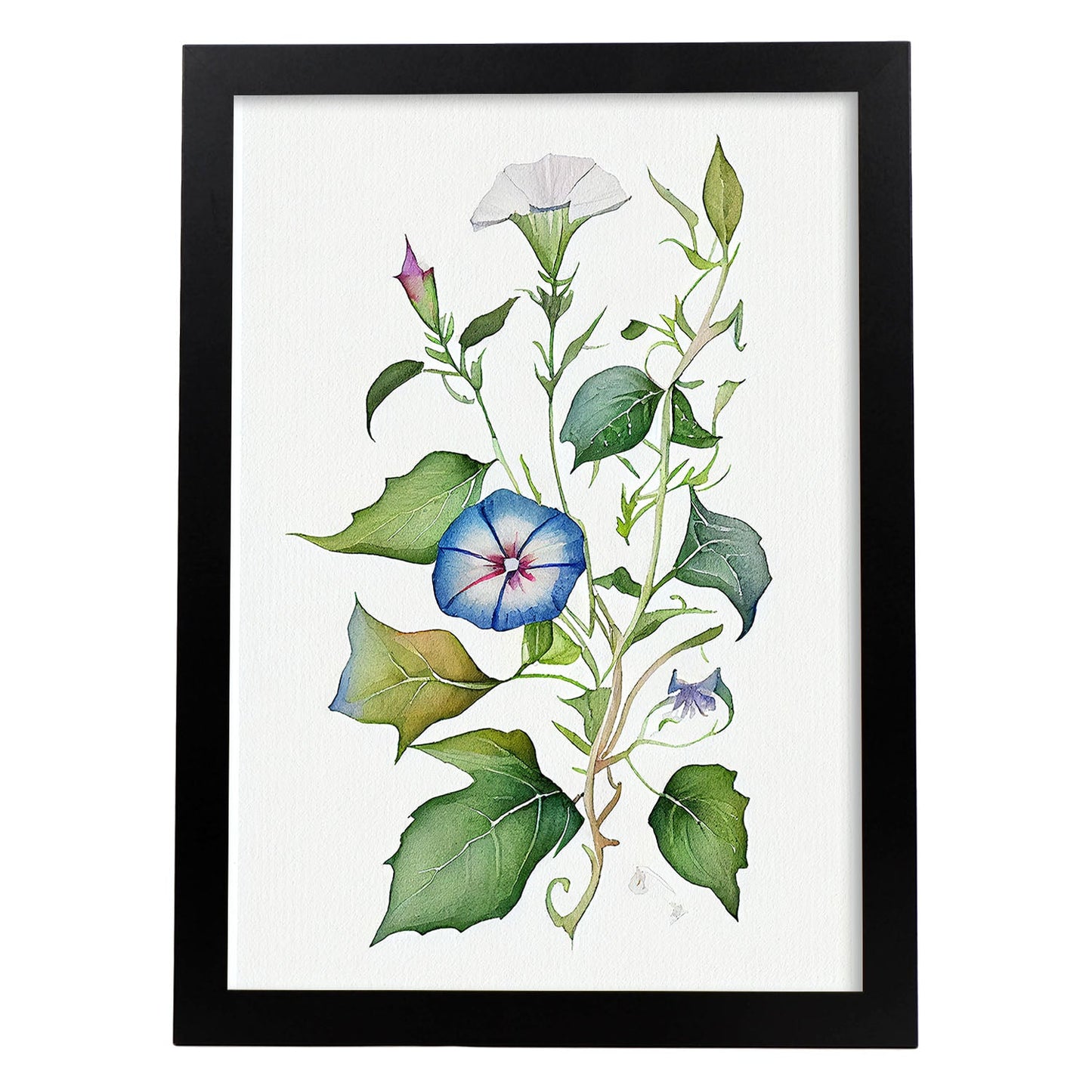 Nacnic watercolor minmal Morning Glory_2. Aesthetic Wall Art Prints for Bedroom or Living Room Design.