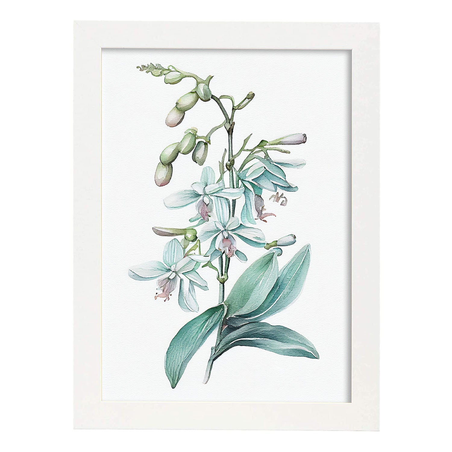 Nacnic watercolor minmal Orchid_2. Aesthetic Wall Art Prints for Bedroom or Living Room Design.-Artwork-Nacnic-A4-Marco Blanco-Nacnic Estudio SL