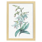 Nacnic watercolor minmal Orchid_2. Aesthetic Wall Art Prints for Bedroom or Living Room Design.-Artwork-Nacnic-A4-Marco Madera Clara-Nacnic Estudio SL